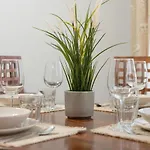 Sunny In The Heart Of Old Town By Renters Apartment *